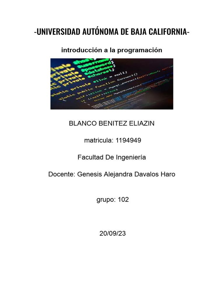 Meta 4.2 Salida de Datos | PDF