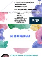 Neuroanatomia Equipo 2 - 2a - Estructura General y Organizacion Del Sistema Nervioso