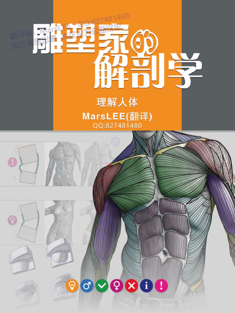 日本人体解剖学 上巻 改訂19版 日本人体解剖学 上 19版 | 金子 勝治 |本 | 通販 | Amazon