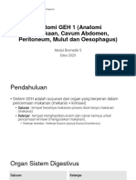 GH 2023 - Modul 1 Anatomi GEH 1 (Anatomi Permukaan, Cavum Abdomen, Peritoneum, Mulut Dan Oesophagus)