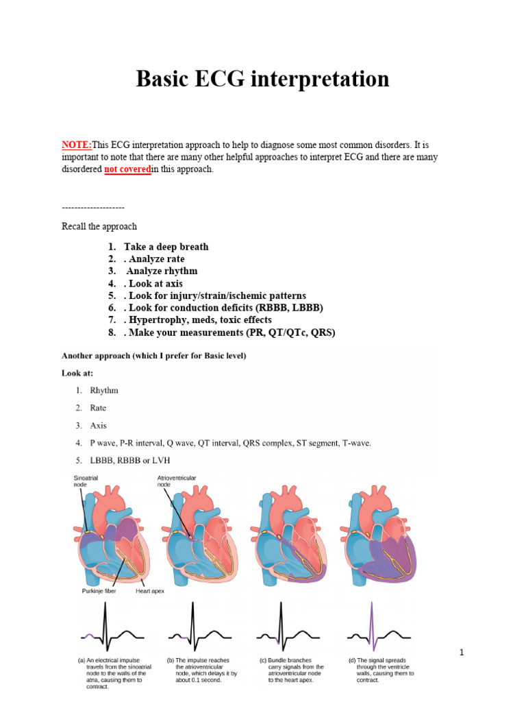 Basic ECG Interpretation Guide | PDF | Electrocardiography | Physiology