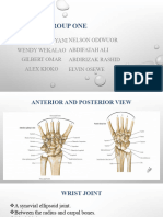 Wrist Joint and Carpal Tunnel