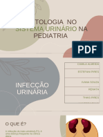 PATOLOGIA NO SISTEMA URINÁRIO NA PEDIATRIA - PPTX - 20230926 - 172103 - 0000