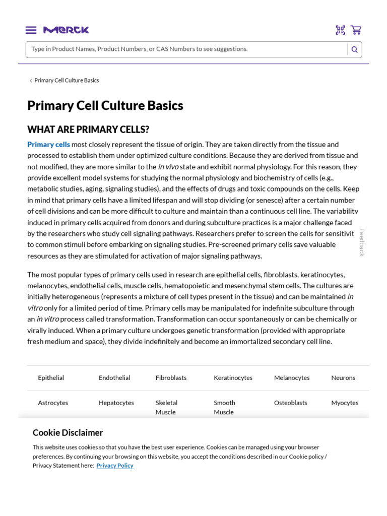 Primary Cell Culture Basics PDF Cell Culture Stem Cell