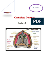 Compelet Denture