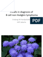 11 DR Endang SRH Pitfall in B-Cell Non Hodgkin Lymphoma