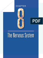 4 Nervous System