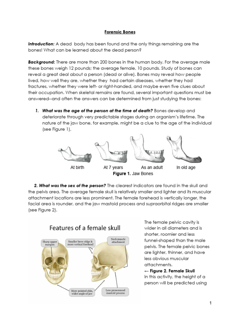 Analyzing Forensic Bones for Height Estimation | PDF | Sports ...