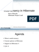 Multi-Tenancy in Hibernate: Steve Ebersole Hibernate Project Lead