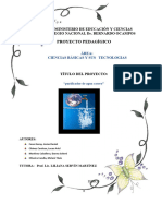 PROYECTO Purificador de Agua Casero CULMINADO