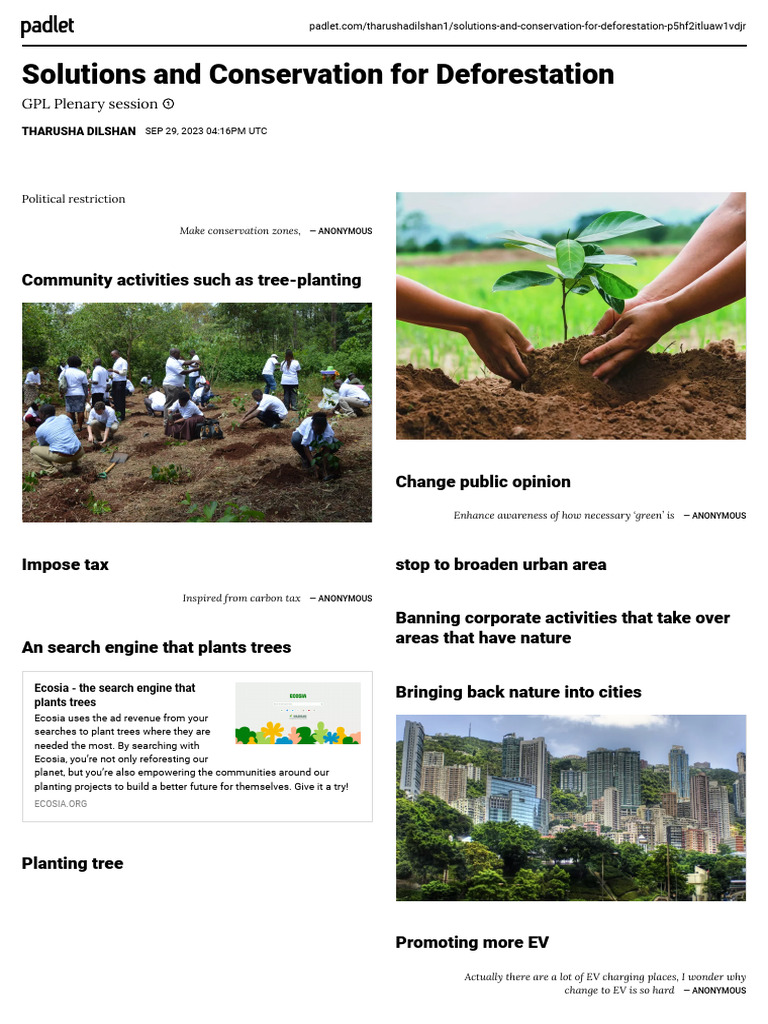 Solutions for Deforestation Conservation | PDF