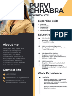 Professional CV Resume