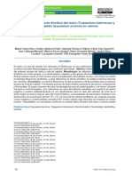 Determinación Del Efecto Diuretico