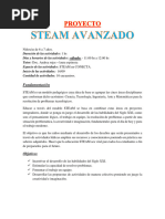 Steam Avanzado Proyecto