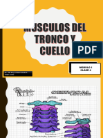 Clase - 4 Musculos Del Tronco y Cuello
