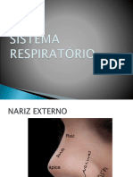 SLIDE TEÃ RICO SISTEMA RESPIRATÃ RIO 2022 - Editado