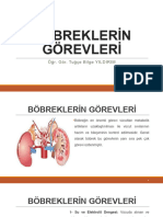 Diyalize Giris 2. Hafta Ders Notu Bobreklerin Gorevleri