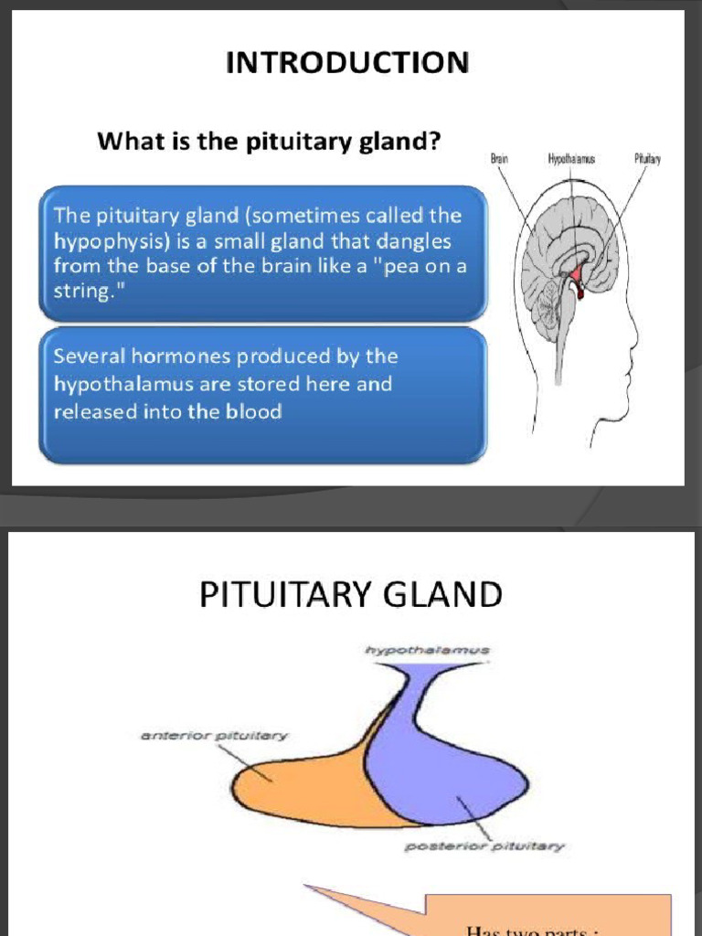 Pituitary Gland PPT | PDF