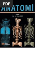 Temel İnsan Anatomisi E-Kitabı | PDF