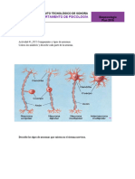 Actividad #1 - UC2 Componentes y Tipos de Neuronas.