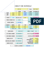 Studiu General Ciornă - Format Excel