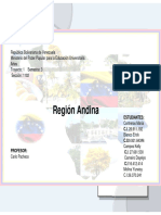 Identidad Nacional R. Andina Grupo 4