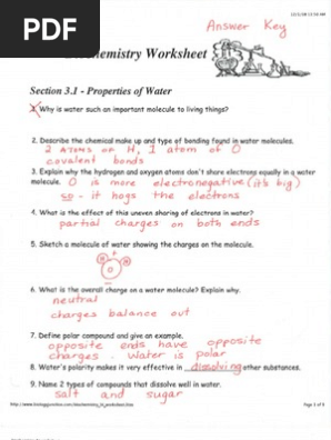 KEY - Biochemistry Worksheet (CP) | PDF