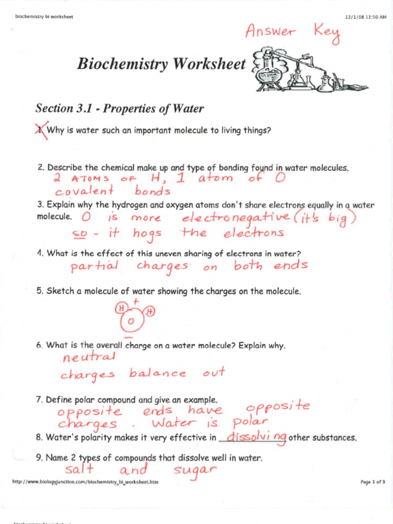 KEY - Biochemistry Worksheet (CP)