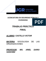 Trabajo Practico Final de Sociologia