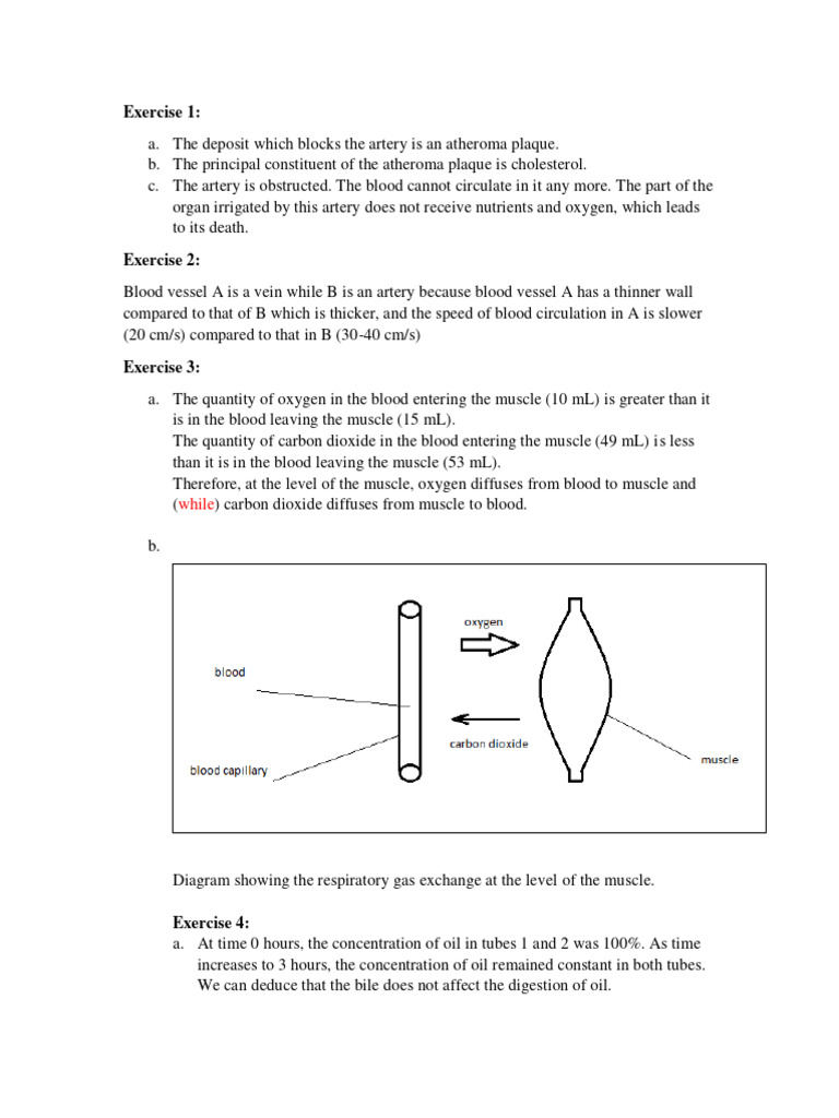 Biology Worksheet For Grade 9 Lebanese Education System | PDF | Blood ...