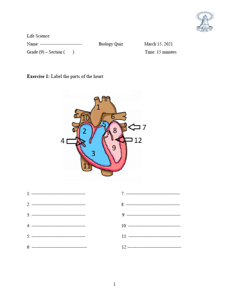 Cardiovascular Quiz PDF