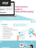 A Best Practice Guide To CDISC SDTM Mapping 1687359065