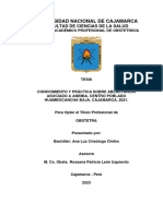 Univ Cajamarca Conocimiento y Práctica Sobre Ablactancia Anemia en Cajamarca 2023