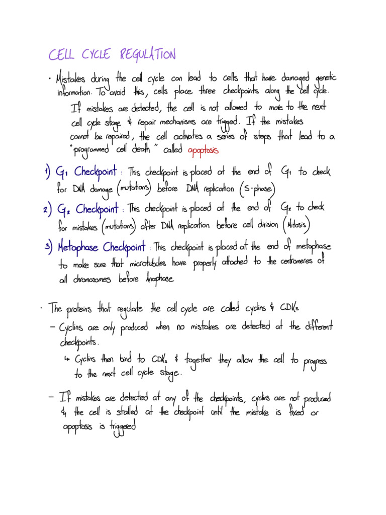 03CellCycleRegulationandCancer Biology Diagrams