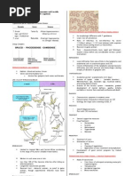 Download Parasitology-Lec 12 Trypanosomes by api-3743217 SN6767283 doc pdf
