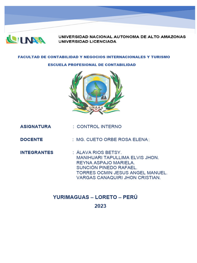 Informe de Las Debilidades de Control Interno | PDF | Plan de estudios ...
