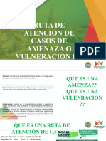 7 Ruta de Atencion de Casos de Amenaza o Vulneracion de Derechos