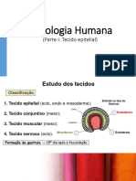 Histologia Humana-Epitelial e Conj