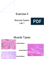 Exercise 5 Lab 1