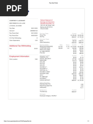 Pay Stub Portal3
