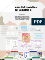 Infografia de Las Vitaminas Hidrosolubles