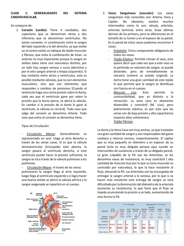 Generalidades del Sistema Cardiovascular | PDF