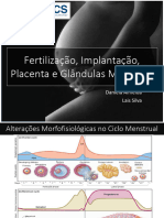 Fecundação, Implantação, Placenta e Mama