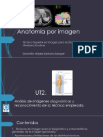 Anatomía Por Imagen UT2 - Análisis de La Imagen Médica y Reconocimiento de La Técnica Empleada