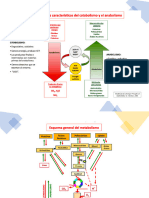 Metabolismo 2