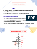 METABOLISMO 1