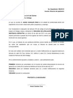 Recurso de Apelación en Contra de La Sentencia Definitiva