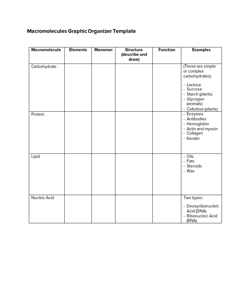 Chapter+3+Class+Activity+-+Macromolecules+Graphic+Organizer+Template | PDF