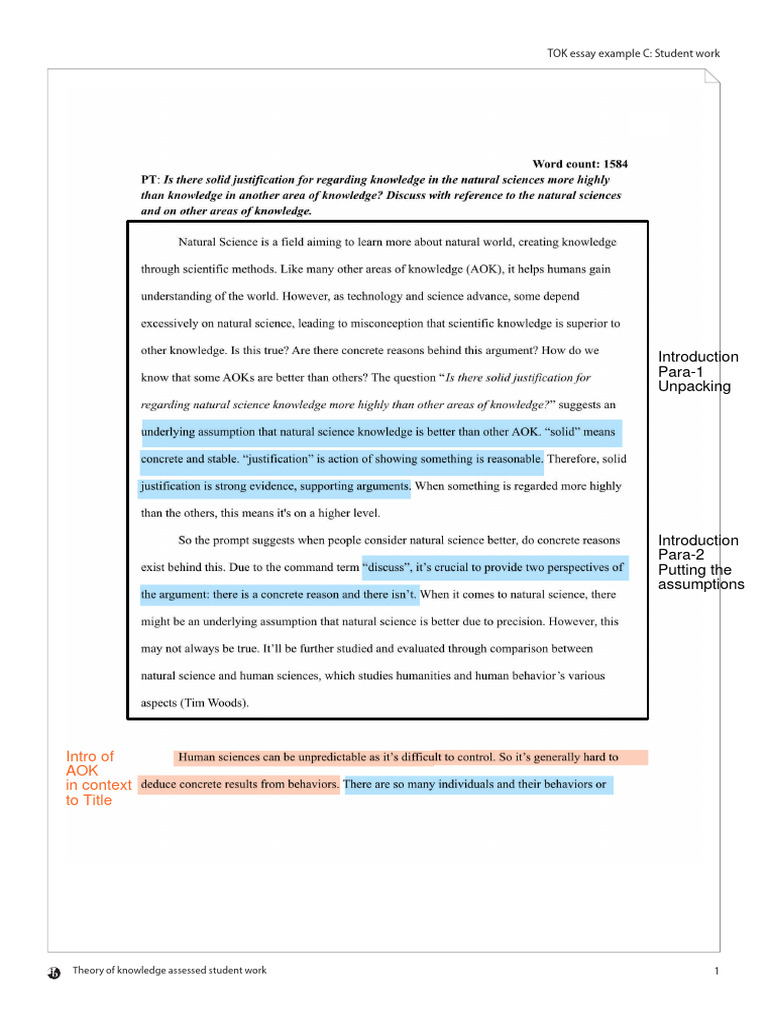 TOK Essay Example C: Student Analysis | PDF
