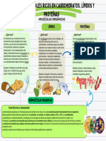 Carbohidratos, Lípidos y Proteínas